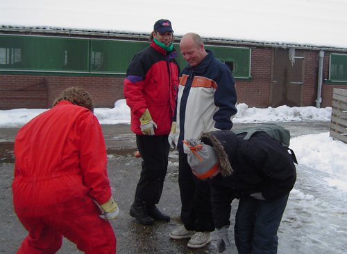 winters teamuitje NH